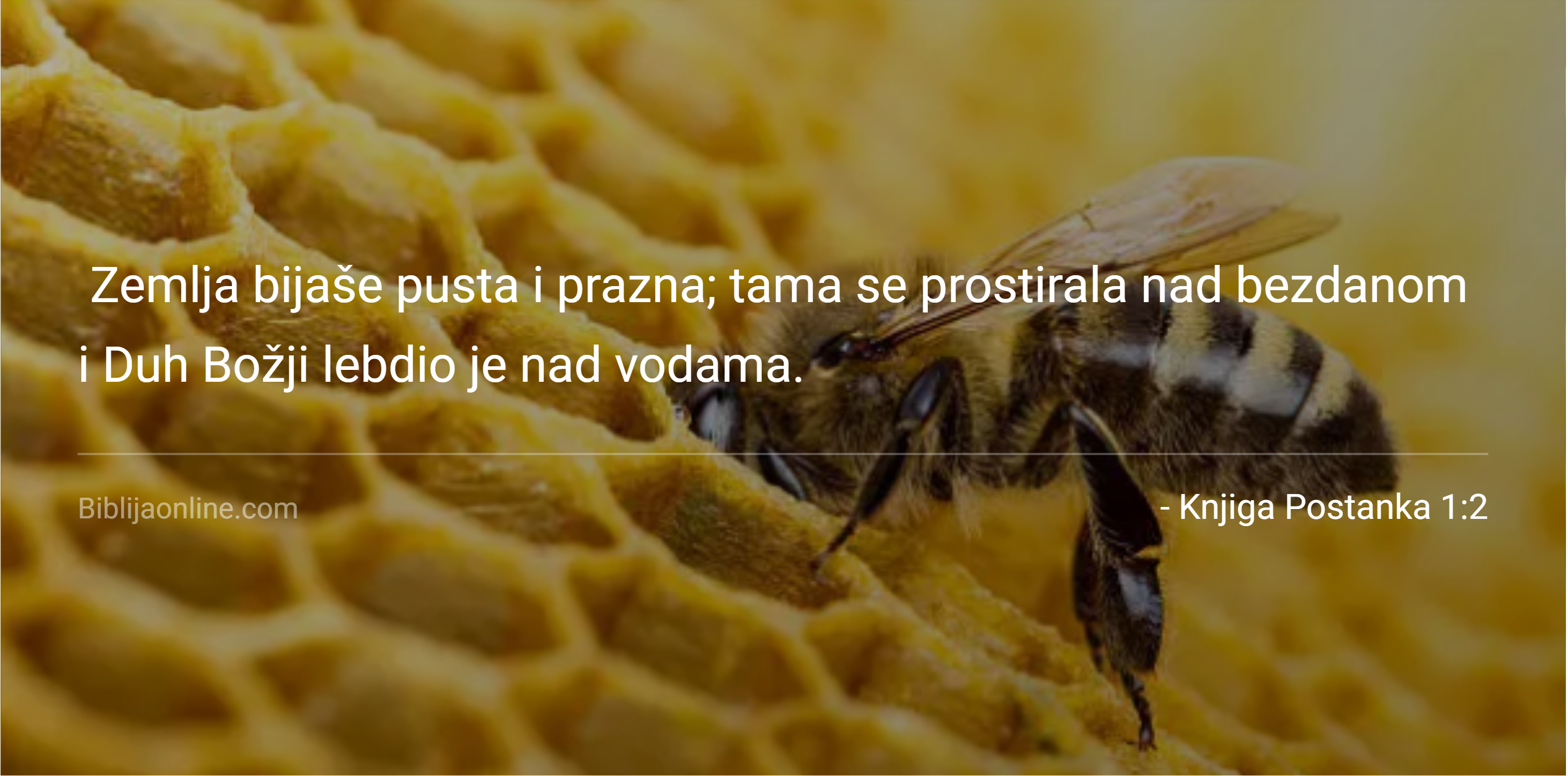 Test kategorija